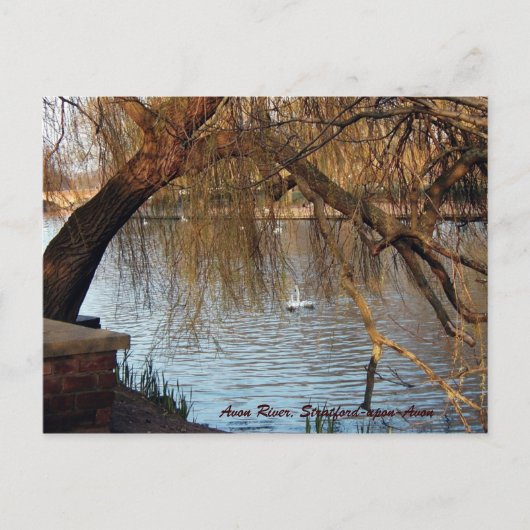 Avon River, Stratford-upon-Avon Briefkaart (Voorkant)