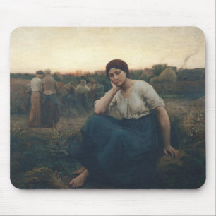 Avond 1860 muismat