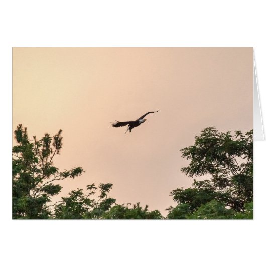 Avond-aankomst (Voorkant Horizontaal)