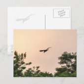Avond-aankomst Briefkaart (Voorkant / Achterkant)