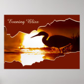 Avond Bliss Heron Gevist Susnset Foto Poster (Voorkant)