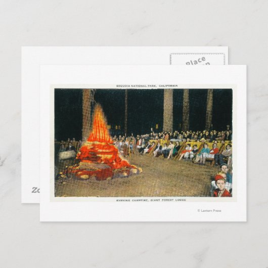 Avond Bonfire in Giant Forest Lodge Briefkaart (Voorkant / Achterkant)