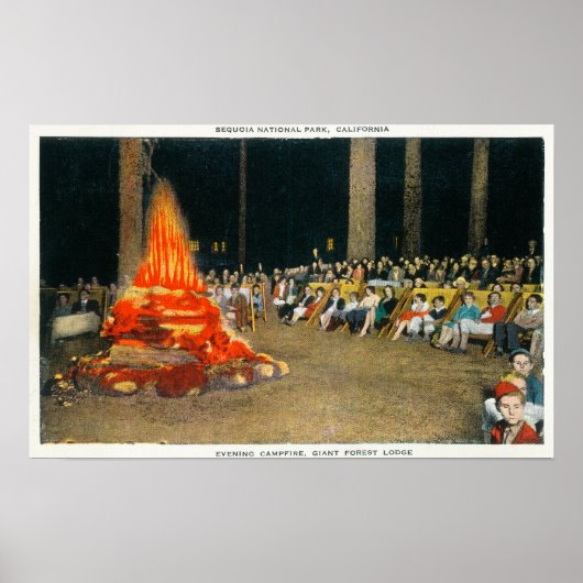 Avond Bonfire in Giant Forest Lodge Poster (Voorkant)