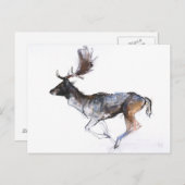 Avond Buck Briefkaart (Voorkant / Achterkant)