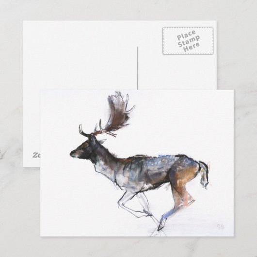 Avond Buck Briefkaart (Voorkant / Achterkant)