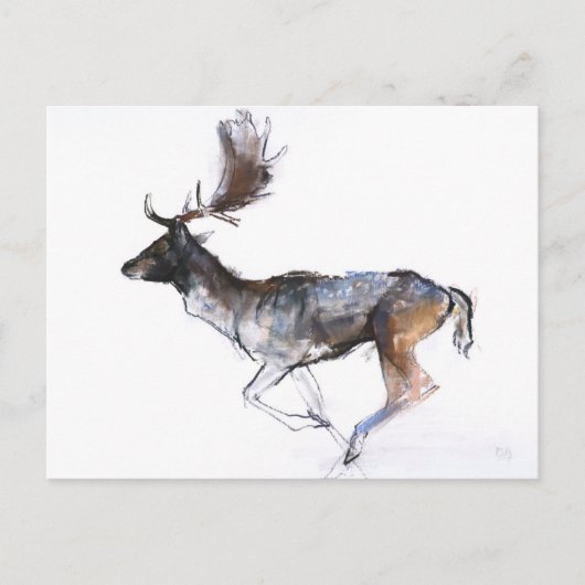 Avond Buck Briefkaart (Voorkant)