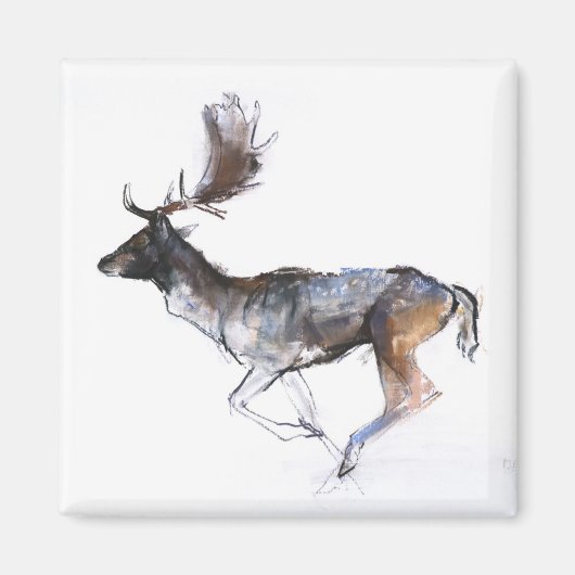 Avond Buck Magneet (Voorkant)