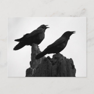 Avond Call Briefkaart