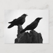 Avond Call Briefkaart (Voorkant)