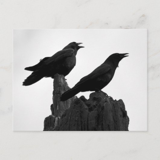 Avond Call Briefkaart (Voorkant)