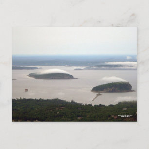 Avond Fog op het Briefkaart van de Bar Harbor Isla