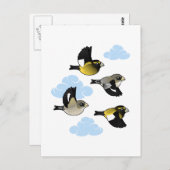 Avond Grosbeaks in de vlucht Briefkaart (Voorkant / Achterkant)