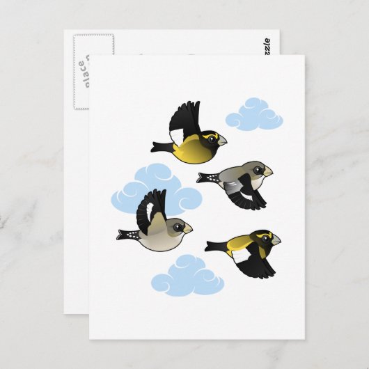 Avond Grosbeaks in de vlucht Briefkaart (Voorkant / Achterkant)