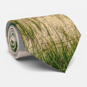 Avond in de Stropdas van Charleston Harbour (Opgerold)