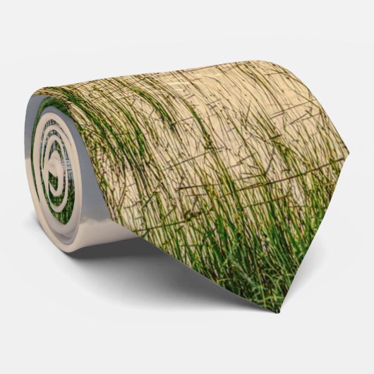 Avond in de Stropdas van Charleston Harbour (Opgerold)