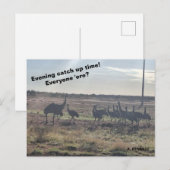 Avond inhaaltijd briefkaart (Voorkant / Achterkant)