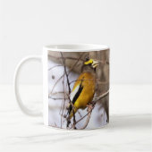 Avond Mok van Grosbeak door BirdingCollectibles (Links)