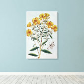 Avond Primrose, bord 73 uit 'Collectie Precie' Canvas Afdruk (Insitu (Houten vloer))