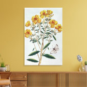 Avond Primrose, bord 73 uit 'Collectie Precie' Canvas Afdruk (Insitu (Woonkamer))