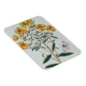 Avond Primrose, bord 73 uit 'Collectie Precie' Magneet (Rechterzijde)