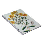 Avond Primrose, bord 73 uit 'Collectie Precie' Notitieboek (Rechterzijde)