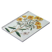 Avond Primrose, bord 73 uit 'Collectie Precie' Notitieboek (Linkerzijde)