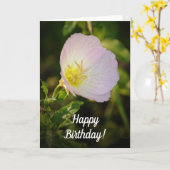 Avond Primrose Wildflower Birthday Kaart (Gele Bloem)