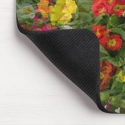  avond primroses..... muismat (Hoek)