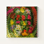  avond primroses..... notitieboek (Achterkant)