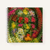  avond primroses..... notitieboek (Voorkant)