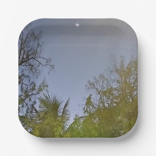 Avond Sky Crescent Moon Foto Papieren Bordje (Voorkant)