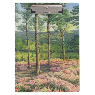 Avond Sun, Surrey Hills Pines in Pastel Klembord