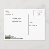 Avond te Charleston Harbour Briefkaart (Achterkant)