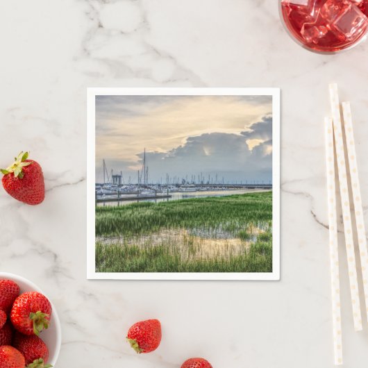 Avond te Charleston Harbour Servet (Insitu)