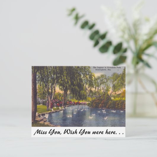 Avondale Park, Birmingham, AL Briefkaart (Staand voorkant)