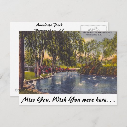 Avondale Park, Birmingham, AL Briefkaart (Voorkant / Achterkant)