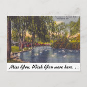 Avondale Park, Birmingham, AL Briefkaart (Voorkant)