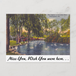 Avondale Park, Birmingham, AL Briefkaart