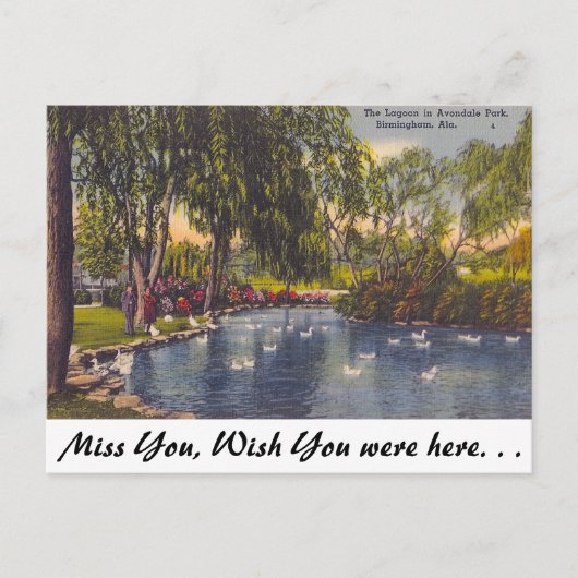 Avondale Park, Birmingham, AL Briefkaart (Voorkant)