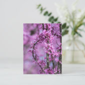 Avondale Redbud Art Briefkaart (Staand voorkant)