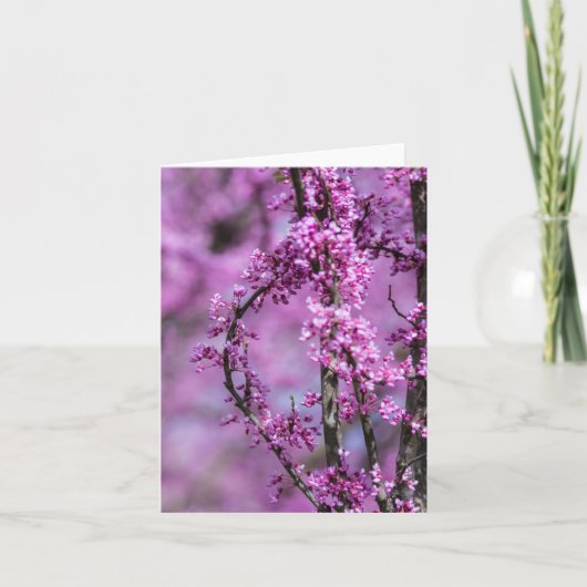 Avondale Redbud Art Kaart (Voorkant)
