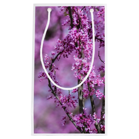 Avondale Redbud Art Klein Cadeauzakje (Voorkant)