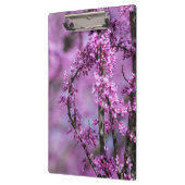 Avondale Redbud Art Klembord (Links)