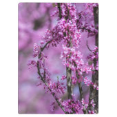 Avondale Redbud Art Klembord (Achterkant)