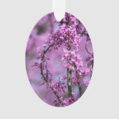 Avondale Redbud Art Ornament (voorkant)