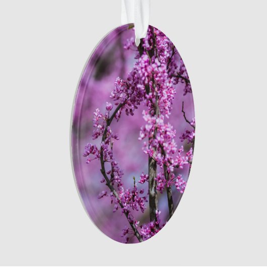 Avondale Redbud Art Ornament (voorkant)