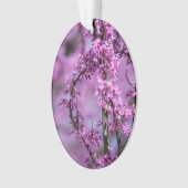 Avondale Redbud Art Ornament (voorkant)