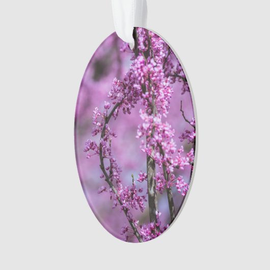 Avondale Redbud Art Ornament (voorkant)