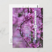 Avondale Redbud Art sparen de datum Briefkaart (Voorkant / Achterkant)