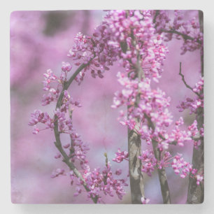 Avondale Redbud Art Stenen Onderzetter